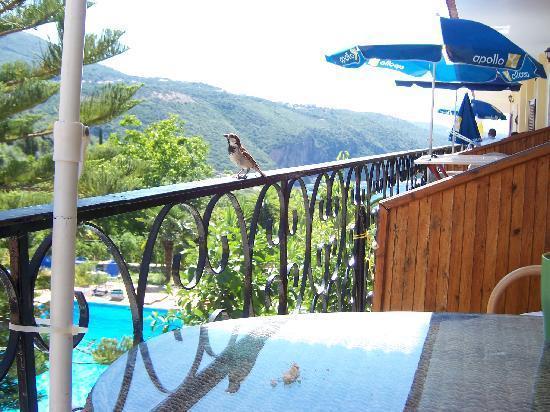 Bella Vista Hotel And Apartments Parga Ngoại thất bức ảnh